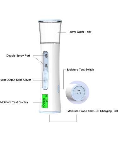 Facial Mist Sprayer Hand Held Facial Humidifier Double Holes High Efficiency 30ml Capacity Ultra Fine Spray for Home and Outdoor Use (Blue) - Buy Online on GoSupps.com