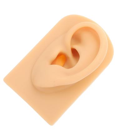 Beaupretty Human Ear Model Durable Silicone for Ear Piercing Training for Education and Practice Complexion 1