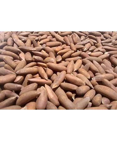 Pine Nuts with Shell 500gms Chilgoza Dry Fruit Chilgoza Pine Nuts - Buy Online on GoSupps.com
