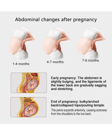 Pregnancy Support Belt | 4-in-1 Maternity & Postpartum Band | Relieve Abdomen, Waist, Pelvis Pain & Back Support | Black - Size M 10-12 (80cm-110cm) - Buy Online on GoSupps.com