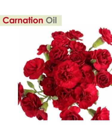 100% Natural Carnation Essential Oil - 50ML Pure Aromatherapy by Salvia | Uncut Undiluted Therapeutic Quality - Buy Online on GoSupps.com