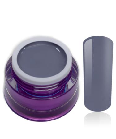 Color Gel Grey Blue Ash Uv Led Nail Gel Studio Quality Color Gel RM Beautynails 1 Pack (1x 5ml)
