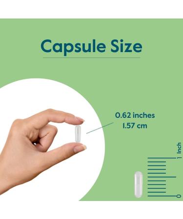 BESTVITE Vitamin B-2 100mg (240 Vegetarian Capsules) - No Stearates - No Dicalcium Phosphate - Vegan - Non GMO - Gluten Free - Buy Online on GoSupps.com