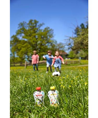 Buy Hipp Hippis Organic Squirrel Fruit & Cereals - Peach Banana with Cookies 100% Sugar-Free 6 Pack (6 x 100g) - International Shipping Available - Buy Online on GoSupps.com