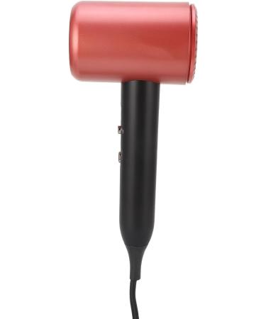 Hair Blow Dryer Even Heating Hair Dryer Professional Overheat Low Power Consumption for Home (US Plug 110V) - Buy Online on GoSupps.com
