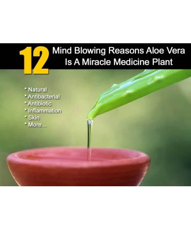 Shop Aloe Vera Body Cream with Vitamin E - Hydrating Vegan Skin Cream 200ml - Buy Online on GoSupps.com