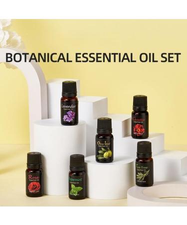 Face Oil Set Plant Essential Oil Set (Rose Peppermint Tea Tree Lavender Olive Leaf Camellia) Moisturizer Facial Oil Anti Ageing & Anti Wrinkle Serum for Women Skin Care Kit - Buy Online on GoSupps.com