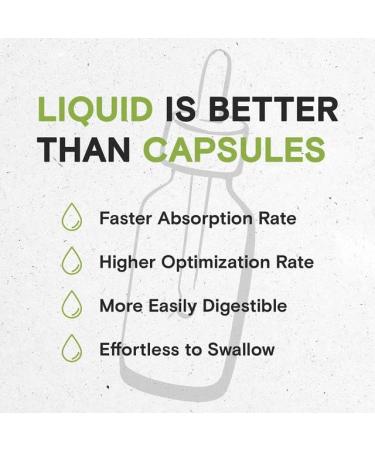 Wildcrafted Cryptolepis Sanguinolenta Tincture - Alcohol-Free High-Potency Herbal Drops for GI System - 4oz - Buy Online on GoSupps.com