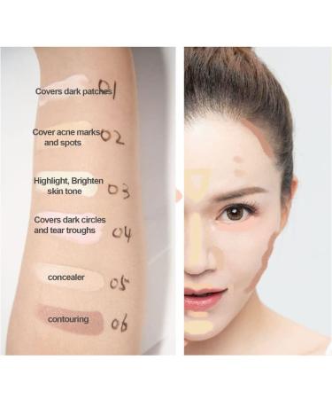 6 in 1 Concealer Contour Palette & Highlighting Makeup Kit - Waterproof & Long-Lasting - Cruelty Free (#02) - Buy Online on GoSupps.com