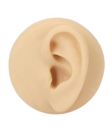 Human Ear Model Left Ear Soft Lifelike Fake Ear Model for Teaching Demonstration - Buy Online on GoSupps.com