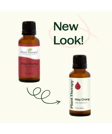 Plant Therapy May Chang Essential Oil 30 mL (1 oz) 100% Pure Undiluted Litsea Cubeba Aromatherapy Clear Skin Energy and Digestion Support May Chang (Litsea Cubeba) 1 Fl Oz (Pack of 1) - Buy Online on GoSupps.com