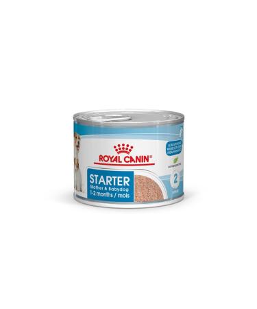 Royal Canin Starter Mousse Mother & Babydog | 12 x 195 g | Ultra Soft Mousse Wet Food | For Female Dogs in the Last Third of Pregnancy and During the Lactation Period