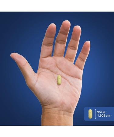 Piping Rock Glucosamine Chondroitin MSM Turmeric | 180 Caplets | Triple Strength | Advanced Supplement | Non-GMO Gluten Free - Buy Online on GoSupps.com