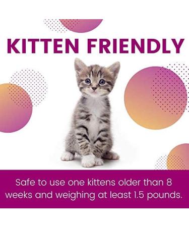ZoGuard Plus for Cats 1.5+ lbs - 6 Dose Flea and Tick Prevention - Buy Online on GoSupps.com