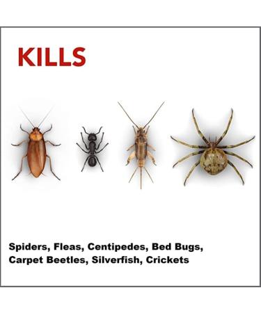 Raid Spider Blaster Killer Kills Listed Bugs on Contact For Indoor Use 350g - Buy Online on GoSupps.com