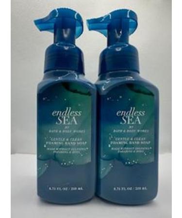 Set of 2 Endless Sea Gentle & Clean Foaming Hand Soap 8.75 Ounce