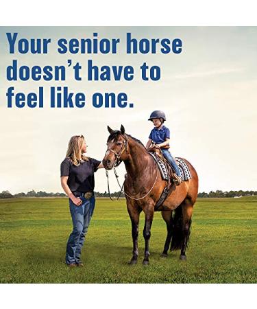 Bute-Less Comfort & Recovery Supplement Pellets | 80 Day Supply for Horses - Buy Online on GoSupps.com