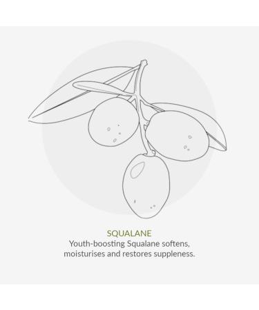 AGE DEFY+ TOPEN Protection Moisturizer SPF 15 - Tinted Day Cream for Ripe Skin | Vegan & Paraben-Free | Cha V htz | 30 ml Global Shipping Available - Buy Online on GoSupps.com