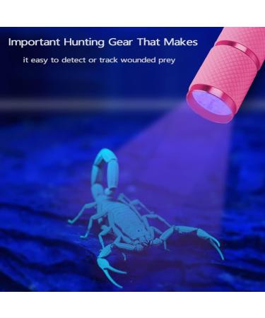 Leagy Mini UV Flashlight 2-Pack - 9 LEDs Pet Urine Detector & More - Ideal for Dog/Cat Stains Bed Bugs and Falsification Detection (Pink) - Buy Online on GoSupps.com