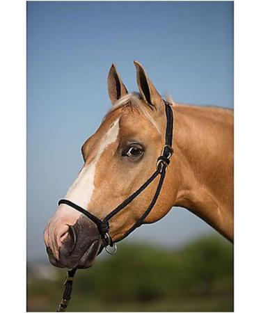 Mustang Be Good Control Poly Rope Halter Black - Buy Online on GoSupps.com