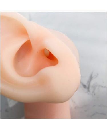 Silicone Ear Model for Acupuncture - Artificial Ear Model with Stand - Soft Silicone Ear Model for Teaching for Ear Picking Practice Studs Earring Display Props - Buy Online on GoSupps.com