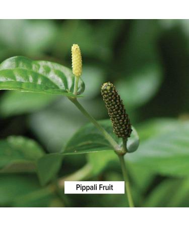 Banyan Botanicals Organic Sitopaladi Churna Powder with Cardamom, Banslochan, and Pippali - 3.25 oz - Immune Support and Lung Health - Non-GMO Vegan Option - Buy Online on GoSupps.com