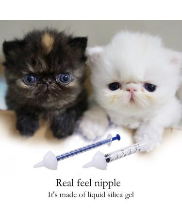 Dongdong Pet Silicone Feeding Set for Newborn Kittens, Puppies & Small Animals - 5 pcs, White - Buy Online on GoSupps.com