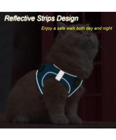 Femax Adjustable Soft Mesh Dog Harness with Leash for Small/Medium Dogs & Cats - No Pull Reflective Breathable Vest for Chihuahua & Puppies (XS: 26-29cm) - Blue - Buy Online on GoSupps.com