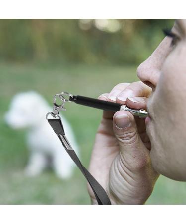 DSFSAEG 2 Pcs Dog Whistle Dog Training Clicker High Frequency Portable Training Clicker with Wrist Strap for Recall Cat Dog Horse Training Pet Training Aid Tools Black - Buy Online on GoSupps.com