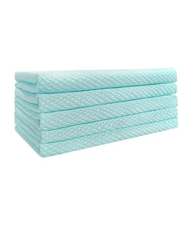 10 Pieces Household Cleaning Cloths Kitchen Dish Towels Fish Scale Wipes Pepsi Cloths Blue_30*40cm