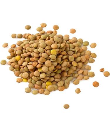 Organic Green Lentils 1kg by Manor Springs Organic - Buy Online on GoSupps.com