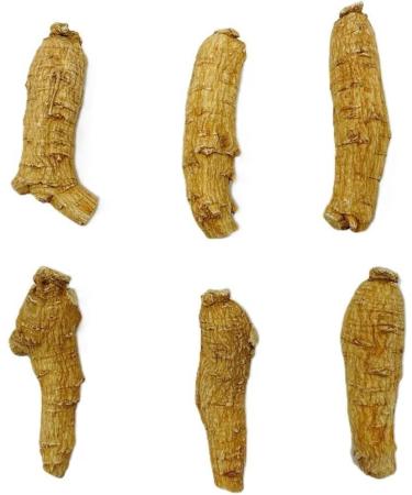 Hand Selected A Grade American Ginseng Root Large Short (4 Oz. Box) - Buy Online on GoSupps.com