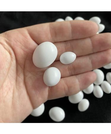 10Pcs Plastic Eggs - Simulated Bird Eggs for Parrots & Racing Pigeons | Bird Supplies Worldwide Shipping - Buy Online on GoSupps.com
