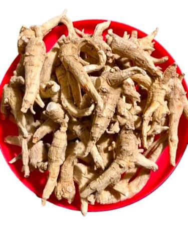 Herbal Supplements| Premium Ginseng Roots| 5-Year Canadian Grown| Nice Gift for Family| Great for Tea and CookingTea & Cooking| Boosts Energy & Body Immunity 10.6oz/16oz. (454) - Buy Online on GoSupps.com