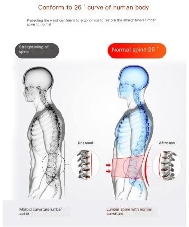 Back Brace for Lower Back Pain Relief | Breathable Support Belt for Herniated Disc & Scoliosis - Men & Women - Buy Online on GoSupps.com