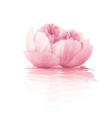 Collistar S.O.S. Moisturizing Hydro-Mask 75ml | Hydrate & Revitalize Your Skin for Immediate Glow - International Shipping Available - Buy Online on GoSupps.com