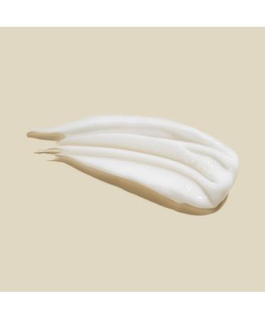 AHAVA Kale Turmeric & Dead Sea Minerals Anti Aging Hand Cream - Vegan, 3.4 fl. oz - Buy Online on GoSupps.com