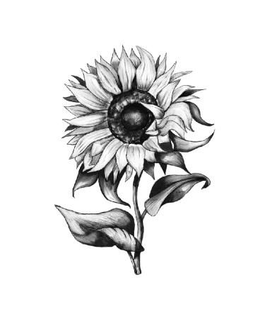Sunflowers Temporary Tattoo Sticker Set - Waterproof Yellow Watercolor Body Art for Women - Set of 24 (SF181) - Buy Online on GoSupps.com
