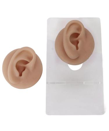 Silicone Ear Model for Display and Acupuncture Practice - Deep Skin Color - Buy Online on GoSupps.com