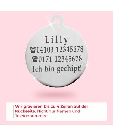 Ibera Gifts - Personalized Round Cat Collar with Engraving for Medium to Large Cats - Red Cat Necklace & Address Tag - Buy Online on GoSupps.com