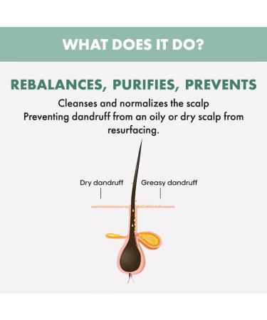 Alfaparf Milano Alfaparf Semi Di Lino Scalp Rebalance Balancing Low Shampoo 250ml Ceder 250 ml 1er Pack - Buy Online on GoSupps.com