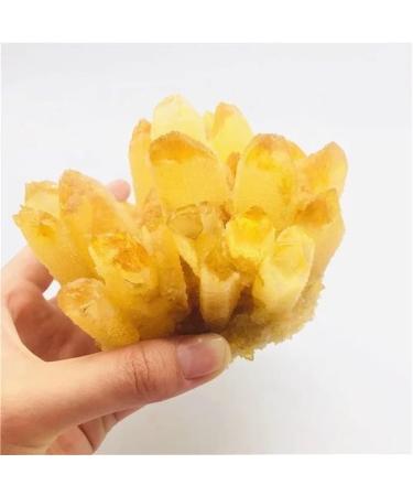 400g-700g Natural Yellow Phantom Quartz Stone Crystal Cluster for 1pc PEIQIYIN Stone Mineral Specimen (Size : 1PC 400G-500G) - Buy Online on GoSupps.com