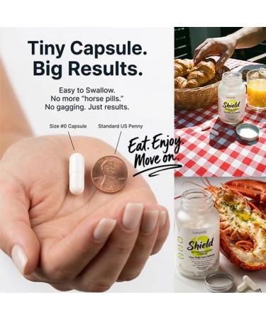 Shield Metabolic Support Complex Chromium Supplement Carb Defense Matrix - Dairy-Free & Gluten-Free - 60 Vegan Capsules(30 Servings) 1 Count (Pack of 60) - Buy Online on GoSupps.com