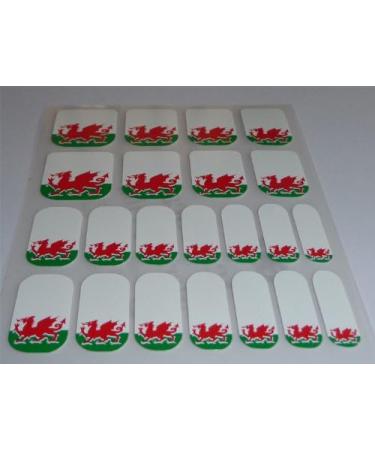 Welsh Flag Nail Wraps - Green White Red Dragon Vinyl Foils | Chix Nails - Buy Online on GoSupps.com