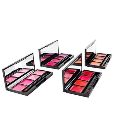 Coastal Scents Lip Quad - Juicy Pink | Long-lasting Lip Color Palette - Buy Online on GoSupps.com