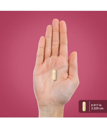 Piping Rock Multi Collagen Protein Capsules | 180 Count | 2000mg | Types I II III V X | Complex Blend | Non-GMO Gluten Free - Buy Online on GoSupps.com