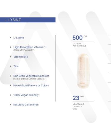 L-Lysine Supplement with Vitamin B12 C & Zinc - Oral Health Support Non-GMO Gluten-Free - 60 Veg Capsules - Made in USA - Buy Online on GoSupps.com