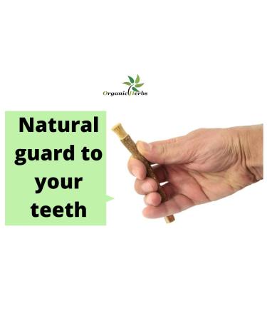 Natural Miswak Chewing Sticks - Peelu Toothbrush for Whiter Teeth (Pack of 3) | International Shipping Available - Buy Online on GoSupps.com