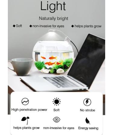 Mini Aquarium USB Led Light 5W for Small Fish Tank | Clip-On Freshwater Planted Live Plant Grow Light with Power Switch | Ideal for Betta, Goldfish, and Shrimp Tank | White Color - Buy Online on GoSupps.com