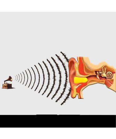 Ear Plugs for Sleep Reusable Noise Cancelling Earplugs for Sleeping Earplug Soundproof earplugs Anti-Noise Sleep Student Dormitory Sleeping Super Professional (Color : Wired 6 Pairs) (Color : Wired Wired 12 Pairs - Buy Online on GoSupps.com